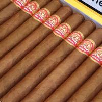 Partagas Aristocrats (Vintage 2019) Cigar - Box of 25